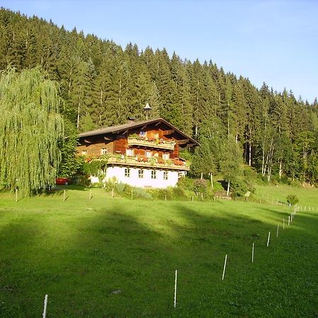 Ellmauhof Vila Pfarrwerfen Exterior foto