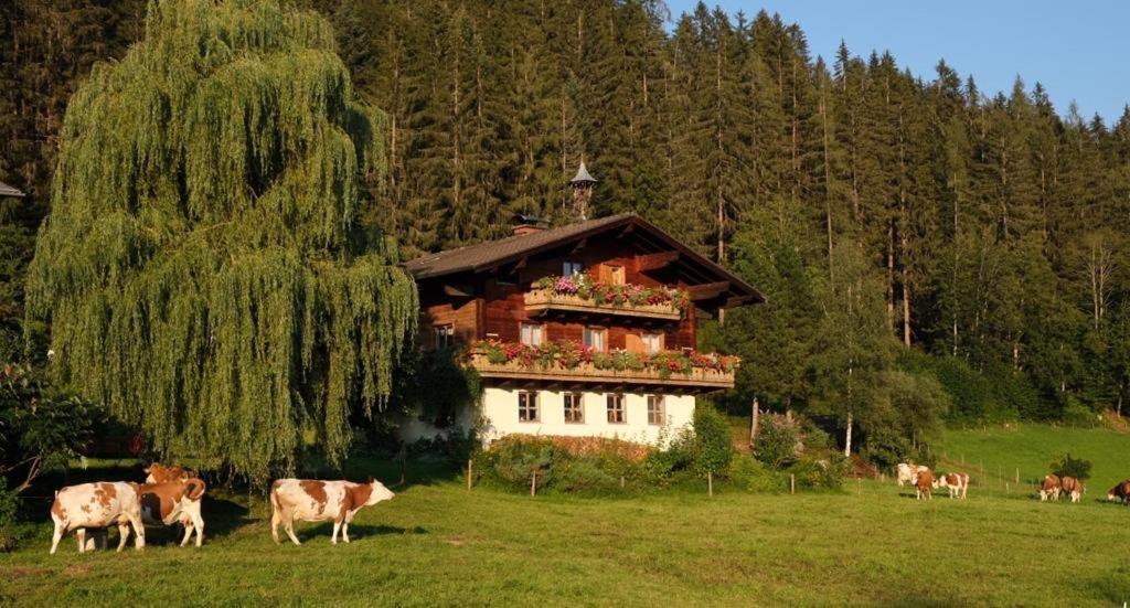 Ellmauhof Vila Pfarrwerfen Exterior foto