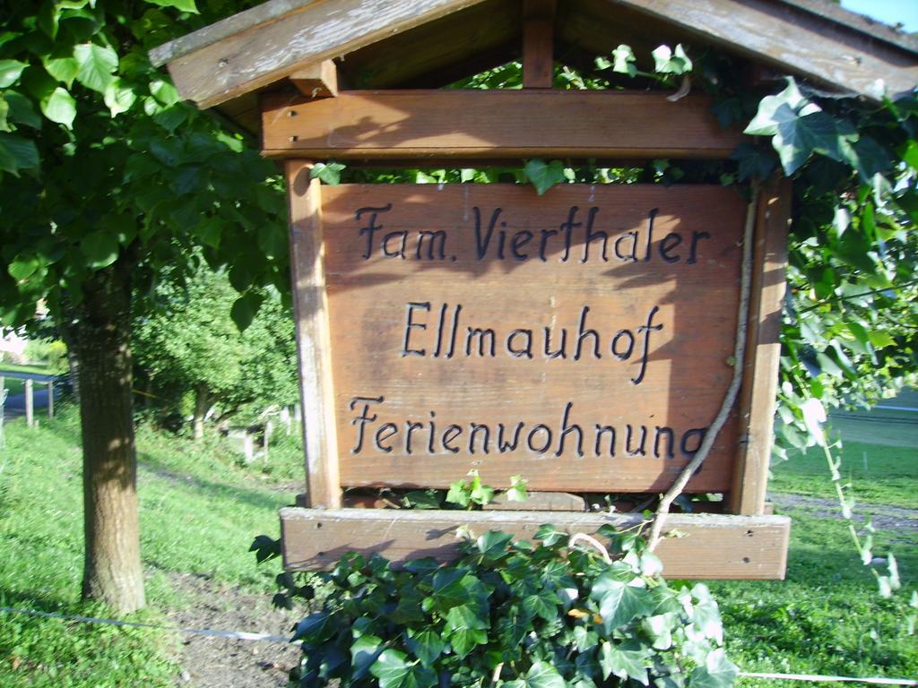 Ellmauhof Vila Pfarrwerfen Exterior foto