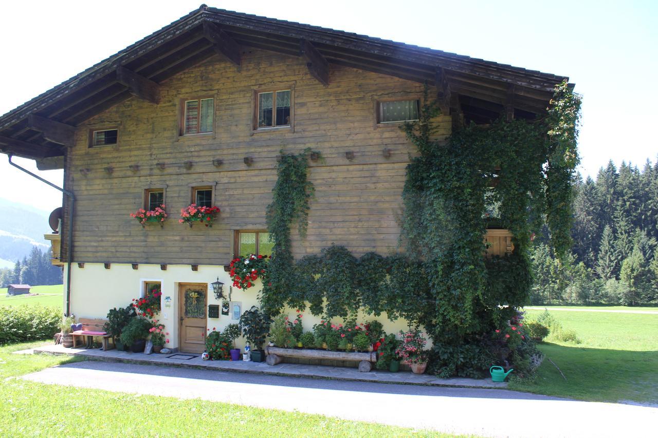 Ellmauhof Vila Pfarrwerfen Exterior foto